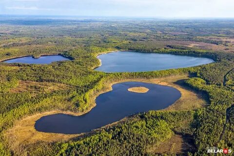Красном боре