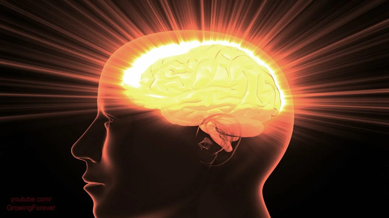 Мозг фрит. Ясный ум. Мозг адаптируется. Мозг. Мозг посылает телу сигналы.