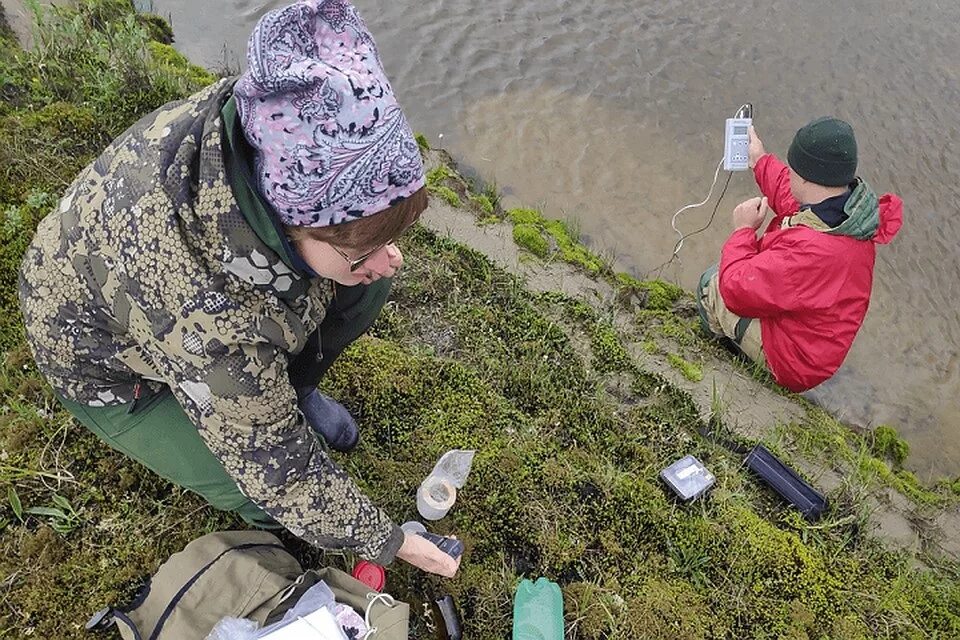 кольский полуостров федорова тундра месторождения. национальный парк архангельской области арктика. ягель архангельск. ученые из японии планируют изучение природы тундр. федорова тундра фото.