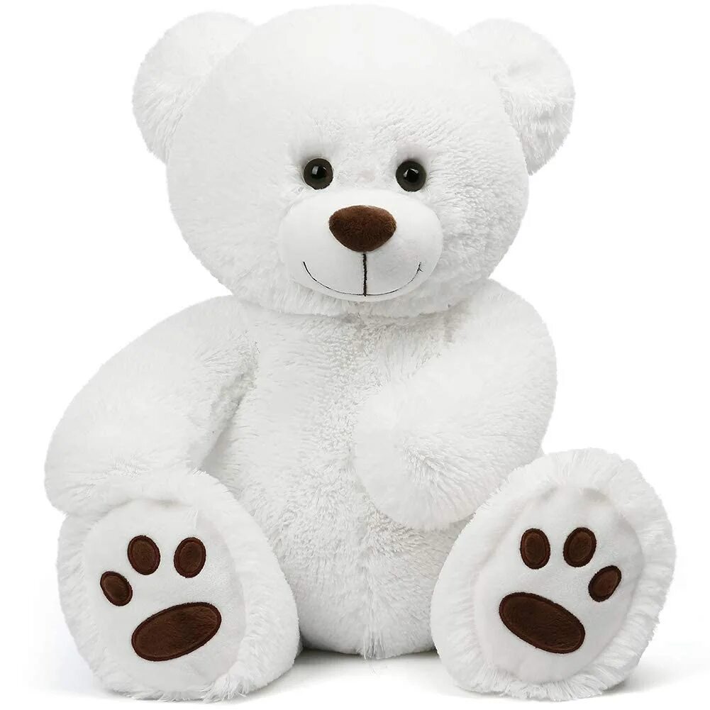 White teddy bear. White teddy bear. White teddy bear. White teddy bear. White teddy bear.