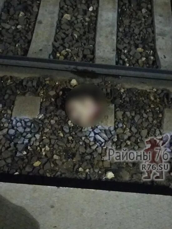 Скончались на месте" В Москве поезд переехал двух 15-летних девушек Драга.Лайф Д