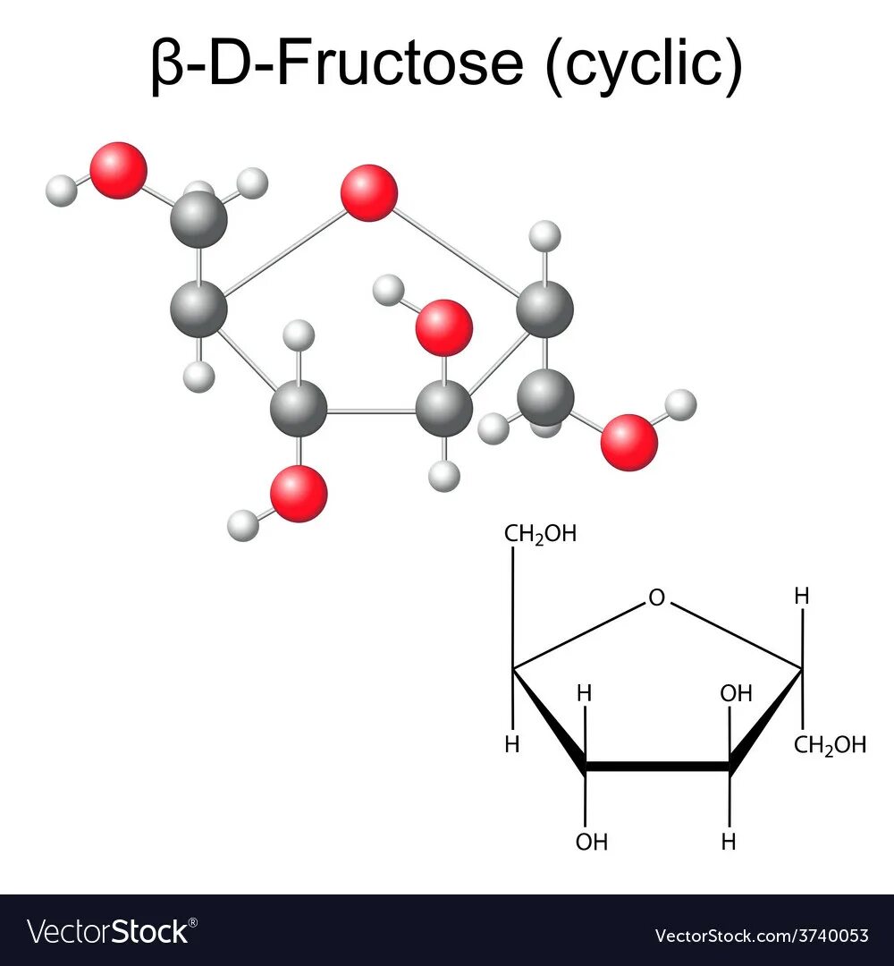 Фруктоза 3д модель. Молекула фруктозы. Модель фруктозы. Д бета фруктофураноза молекула модель. Бета фруктоза