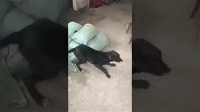 Азе ит