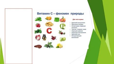 Какова питательная ценность овощей 5 класс