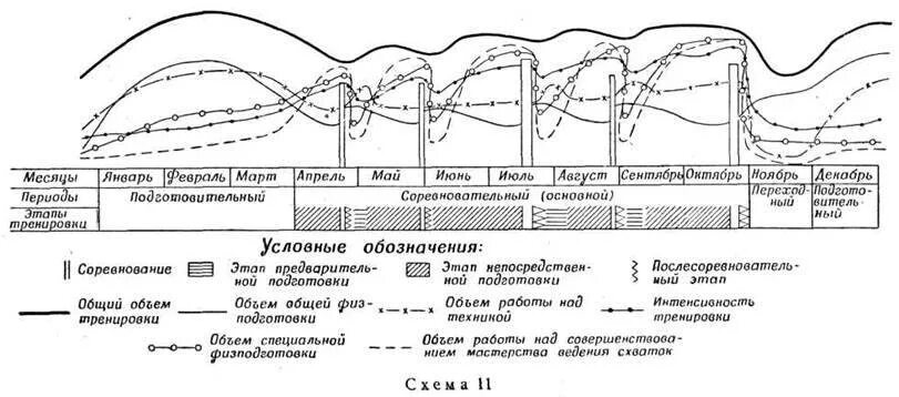 Периодизация спортивной тренировки. Структура годичного цикла подготовки пловца. Циклы спортивной тренировки. Этапы годичного цикла подготовки в спорте. Построение тренировки в годичных циклах.