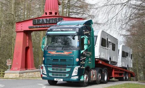 T transport