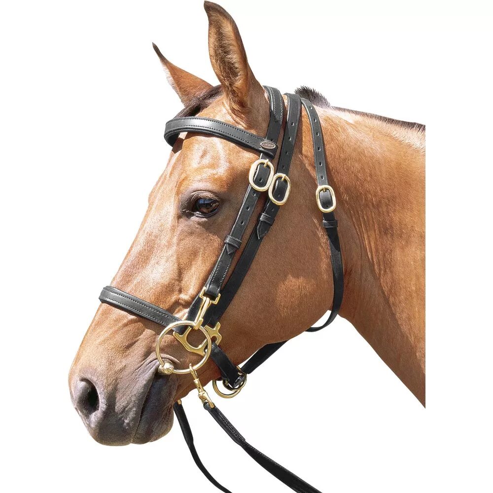 Парадная уздечка для лошади. Уздечка недоуздок. Пробежная уздечка для лошади. Авито уздечка для лошади. Авито уздечка для лошади.