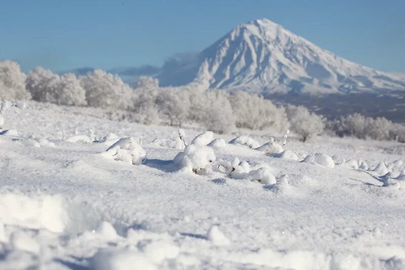 снежная долина камчатка. снежная долина камчатка. снег на камчатке. камчатка горы снег. снег на камчатке.