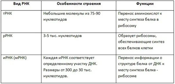 Виды рнк характеристика. Особенности строения и функций разных видов РНК таблица. Функции и строение различных типов РНК. Особенности строения разных видов РНК таблица. Структура и функции РНК.