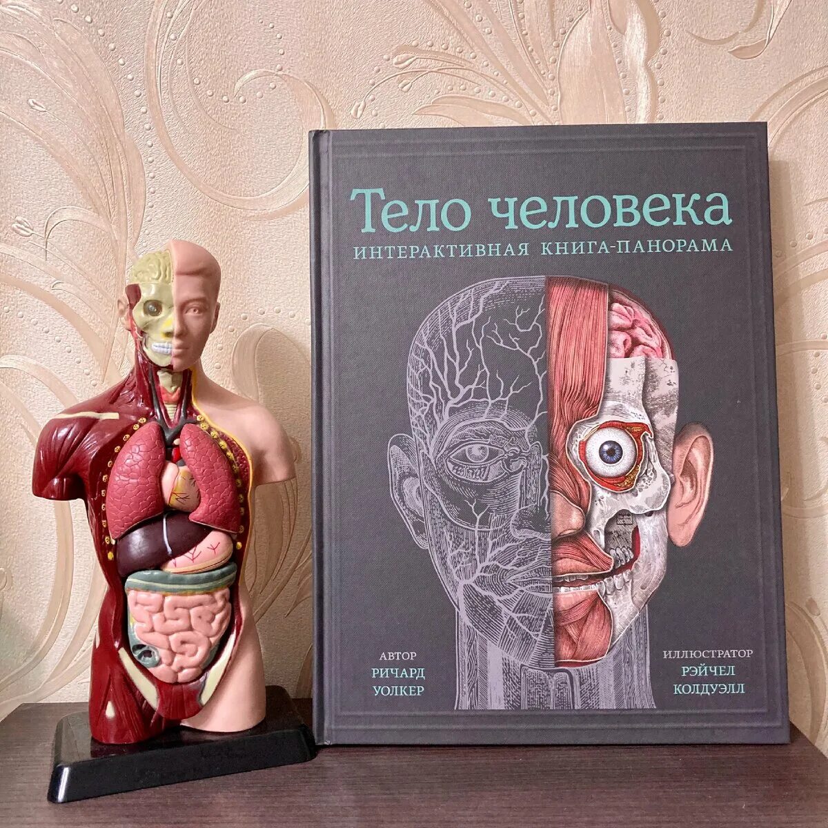 Интерактивная книга человек. Интерактивная книга человек. Интерактивная книга человек. Книга тело человека ричард уолкер. Книга тело человека ричард уолкер.