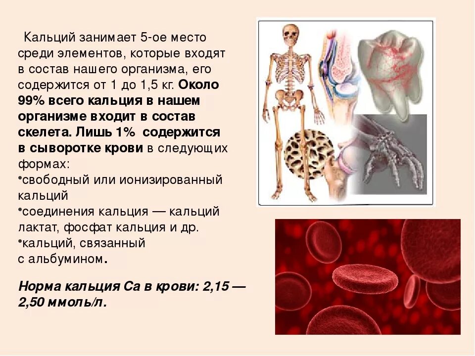 Содержание кальция в костях. Кальций в человеческом организме. роль кальция в организме человека. функции кальция в организме человека. ролью кальция для человека.