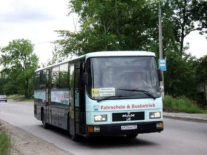 Курашим кондратово