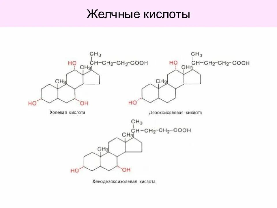 Липиды желчных кислот. Холевая кислота и хромовая смесь. Холевая кислота диметилсульфат. Линоленовая кислота желчные кислоты. Соли желчных кислот.