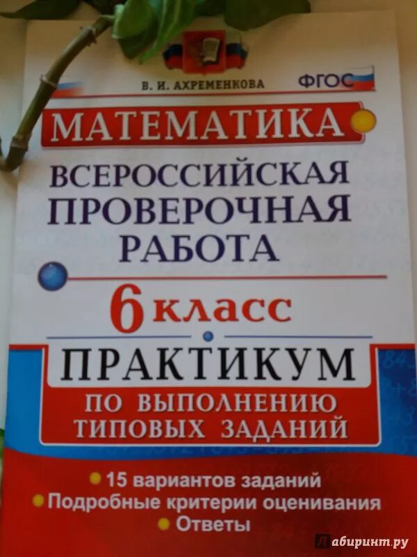 15 12 6 впр по математике. Математика Всероссийская проверочная работа. ВПР 6 класс типовые задания. ВПР математика 6. ВПР типовые задания 6 класс математика.