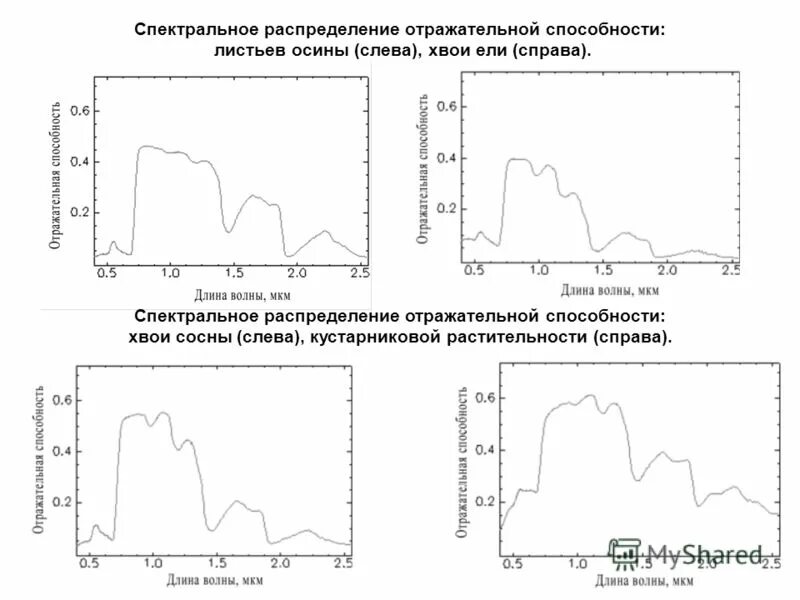 Отражательная способность растительности. Отражательная способность растительности