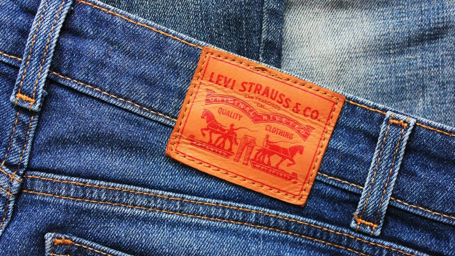 Лев ис. Levis 1873. Леви Страусс Jeans. Levi Strauss co. джинсы. Levis 565.