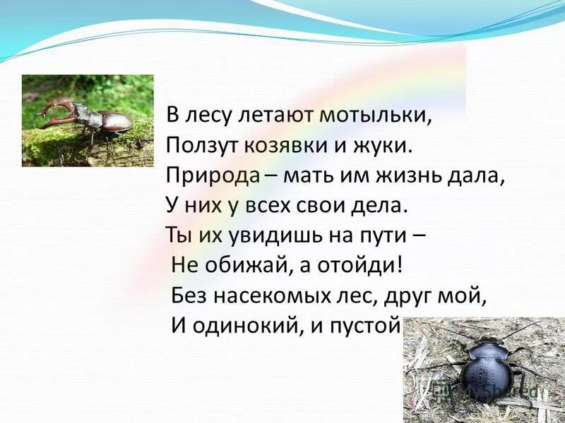 Бабочка с расправленными крыльями. Песня мотылек летаешь летаешь. Песня мотылек летаешь летаешь. Лобода ночной мотылек. Песня мотылек летаешь летаешь.