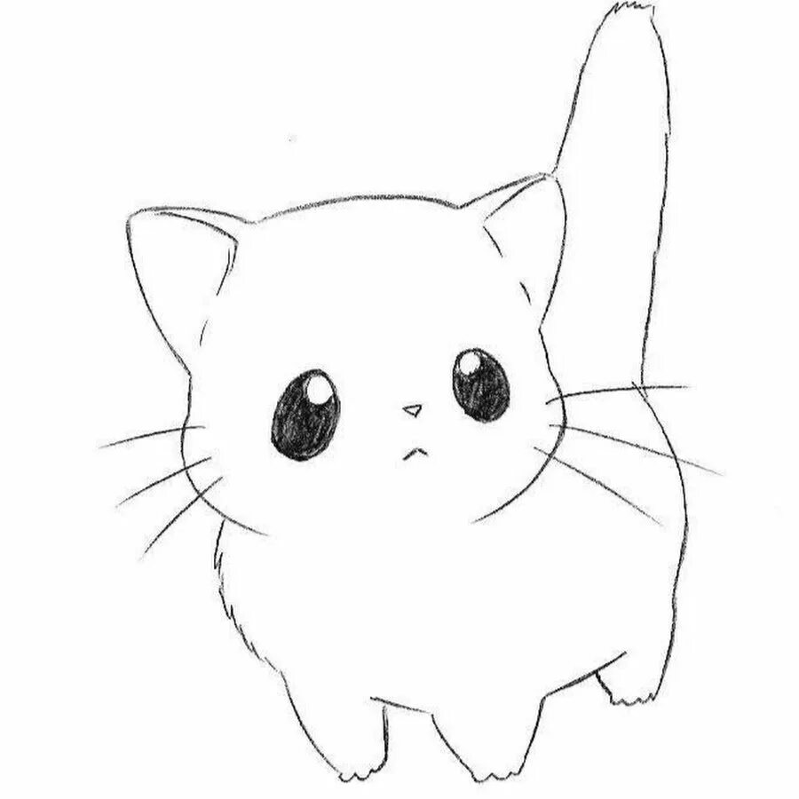 Рисунок для срисовки легкий. Рисунки котов для срисовки. Простые картинки для срисовки. Рисунок легкий милый. Срисовки животных легко для начинающих