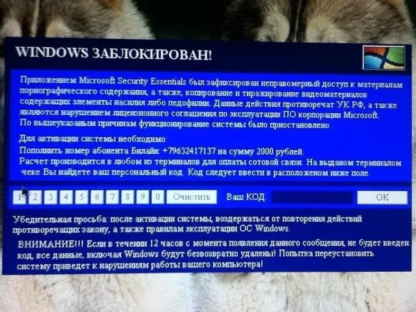 Заблокирован. Аккаунт виндовс заблокирован. Код заблокировать сайт. Windows заблокирован 1980. Заблокировали терминалы