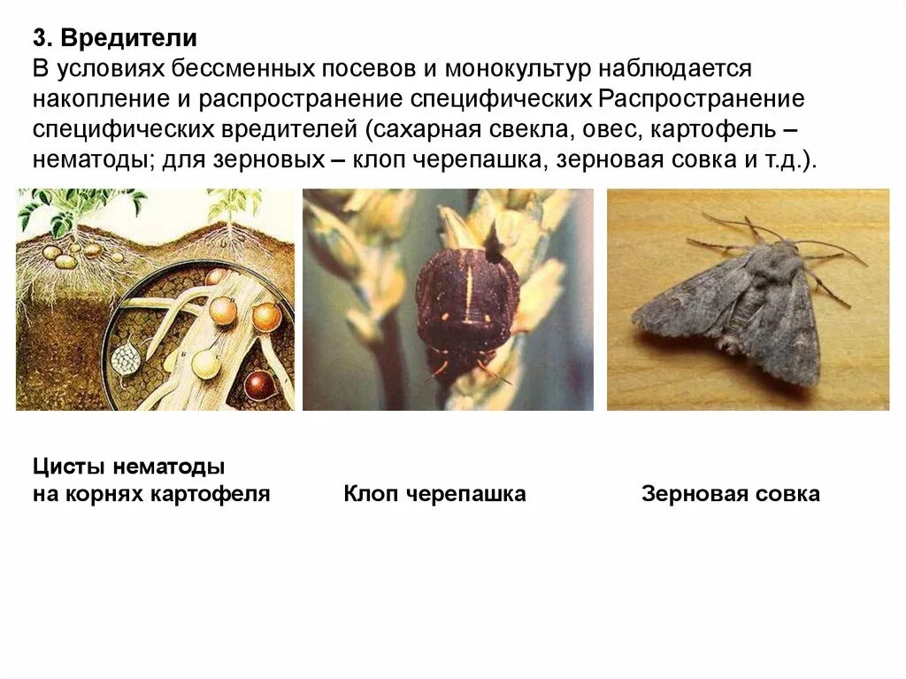 Распространение вредителей