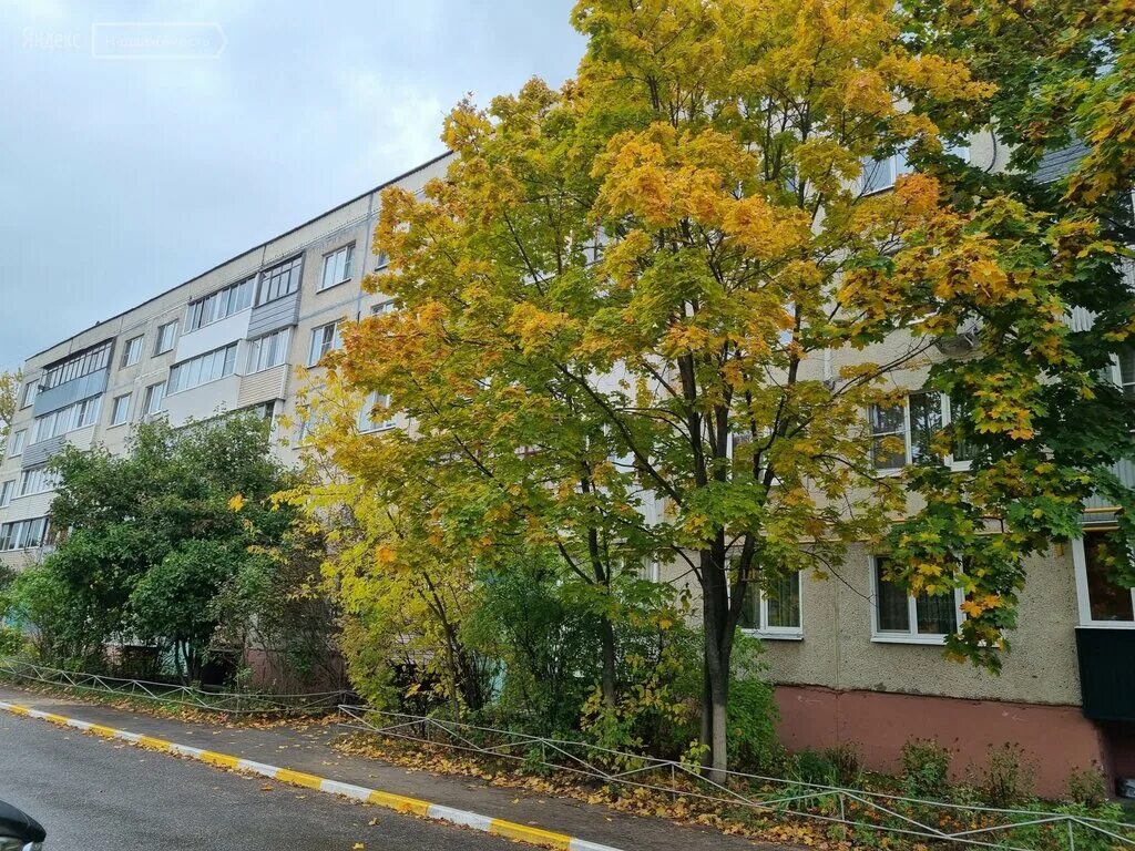 Дубовая роща поселок. Дубовая роща раменский район ул октябрьская 11. Дубовая роща раменское ул октябрьская. Дубовая роща раменское ул октябрьская. Посёлок дубовая роща раменский район.