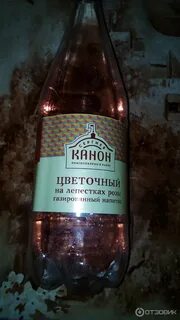Сергиев канон отзывы