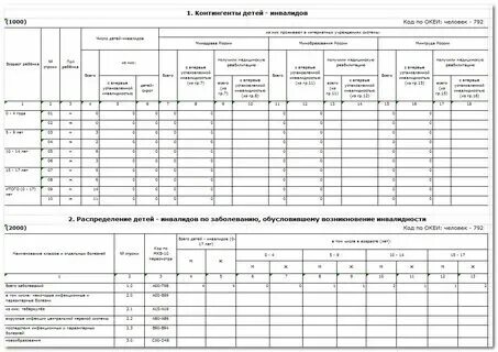 Форма отчета по инвалидам. Форма отчета по инвалидам