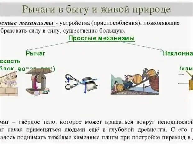 Сообщение на тему рычаги в технике. Сообщение рычаг физика 7 класс. Применение рычага физика 7 класс. Физика 7 класс перышкин -таблица рычаги в технике..быту..и природе.. Рычаги в технике 7 класс физика доклад.