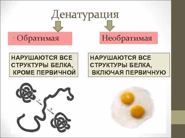 Необратимое разрушение структуры белка. Денатурация первичной структуры белка. структура белка денатурация. денатурация белка это изменение структуры белка. денатурация белков характеристика.