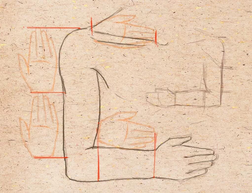 Как называется рисунок человека. Пропорции руки человека. пропорции человеческой руки. пропорции руки человека для рисования. руки пропорции для рисования.