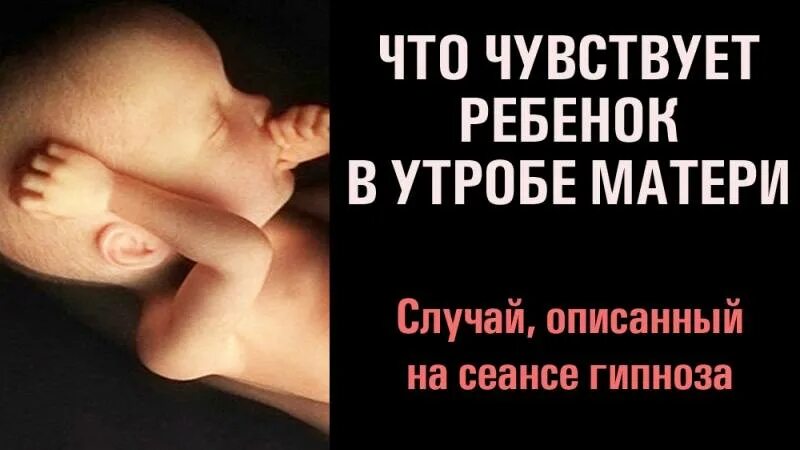 Малыш в утробе матери. Что чувствует ребенок в утробе матери. Притча про младенцев в утробе матери