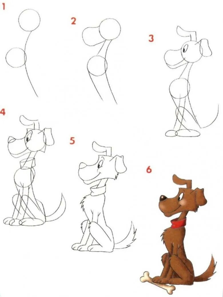 Схема собаки рисунок. Поэтапное рисование собаки. Рисунок собаки пошагово. Схема рисования собаки для детей. Поэтано рисование собаки.