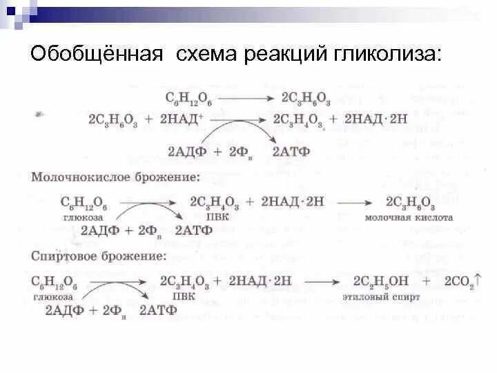 6 в схеме реакции