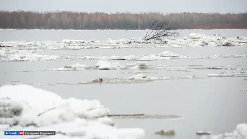 Вода в оби колпашево