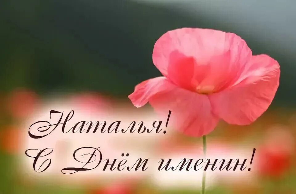 Наташа, с именинами Тебя я поздравляю И Ангела Хранителя, Конечно же, желаю... 2