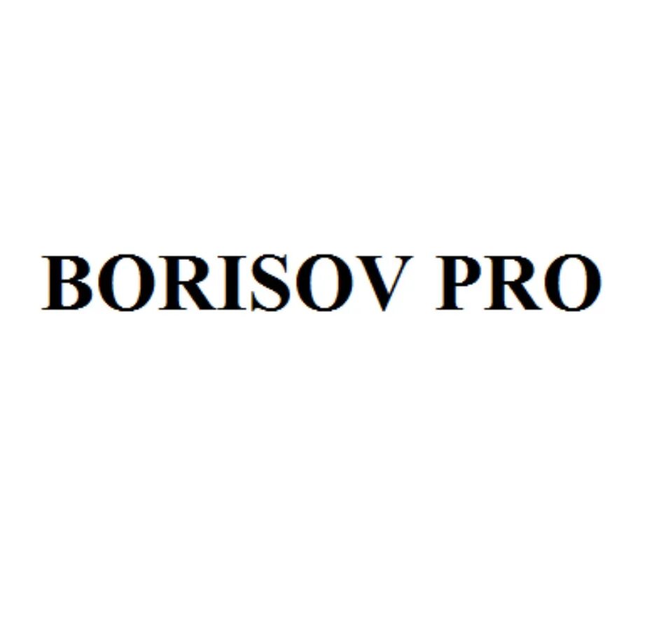 Бориторг борисов. Borisov Pro. Борисов. Шаблон от Borisov Pro. Borisov Pro 82.