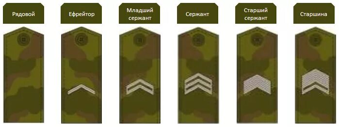 Как получить сержанта. Младший сержант погоны в армии рф. старший сержант погоны в армии. погоны младшего сержанта российской армии. воинские звания российской армии ефрейтор.