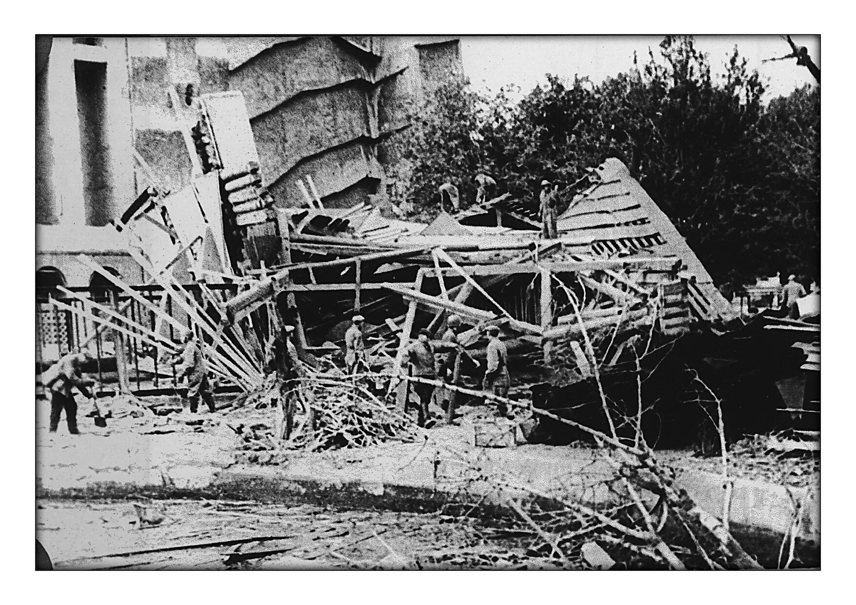 Животное пережившее блокаду. Московский зоопарк 1941. Блокадный Ленинградский зоопарк. Ленинградский зоопарк в блокадном Ленинграде. Ленинградский зоопарк 1941.