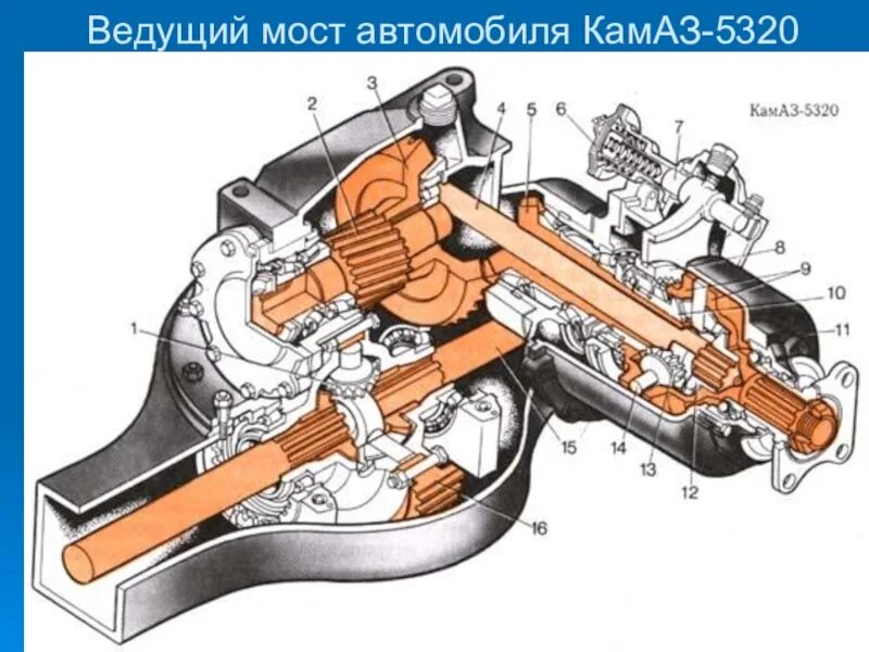 Ведущий мост автомобиля КАМАЗ-5320. Главная передача заднего ведущего моста автомобиля КАМАЗ-5320. Задний мост автомобиля КАМАЗ-5320. Передний ведущий мост КАМАЗ 5320.