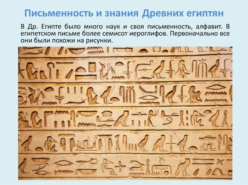 Письменность и знания древних египтян конспект. 5 класс история появление письменности в древнем египте. Допотопные письмена. Письмена древнего египта. Письменность древнего египта 5 класс.