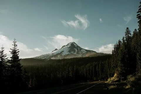 D mount