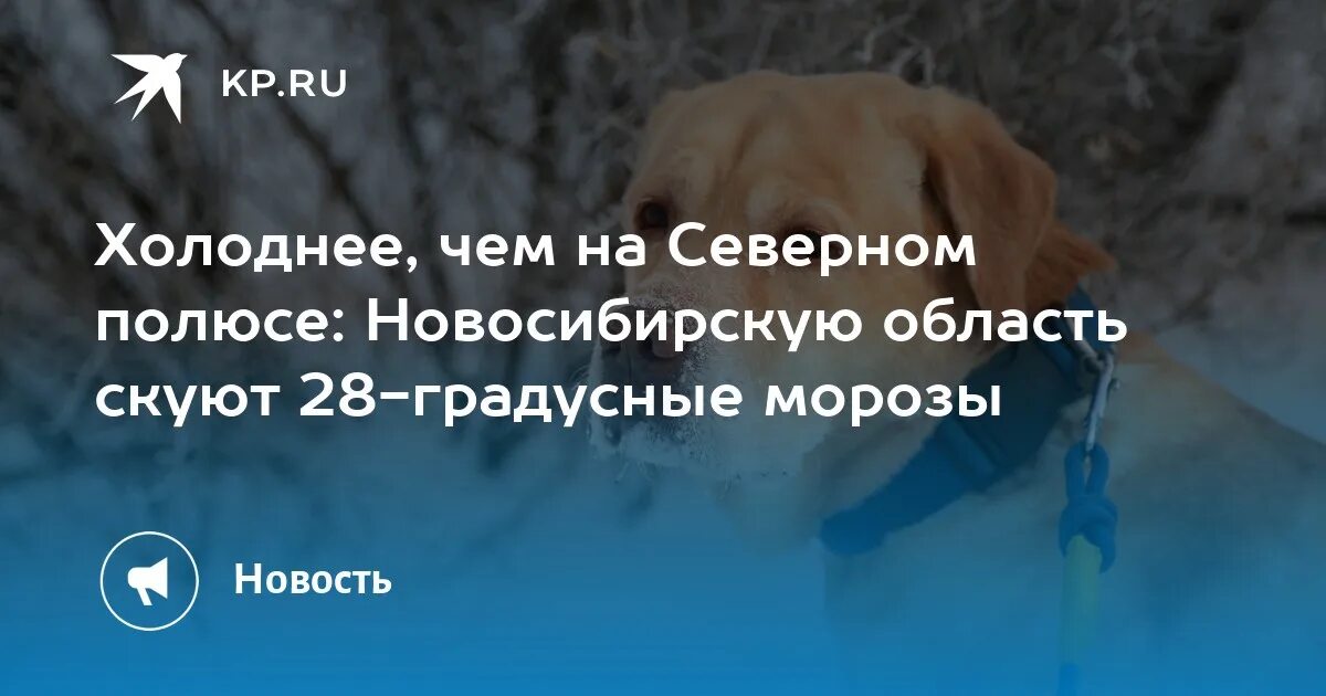 Гидрометцентр Новосибирск. Шашлыки на Северном полюсе.