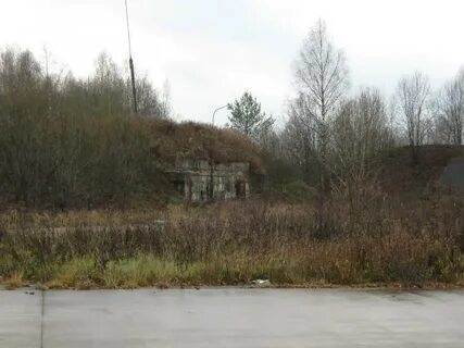 Погода в андреаполе на 10