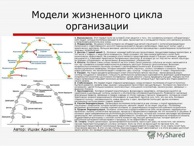 Нулевой этап. Модель жизненного цикла Адизеса. Модель жизненного цикла Ицхака Адизеса. Цикл развития компании Адизес. Стадии жизненного цикла компании по Адизесу.