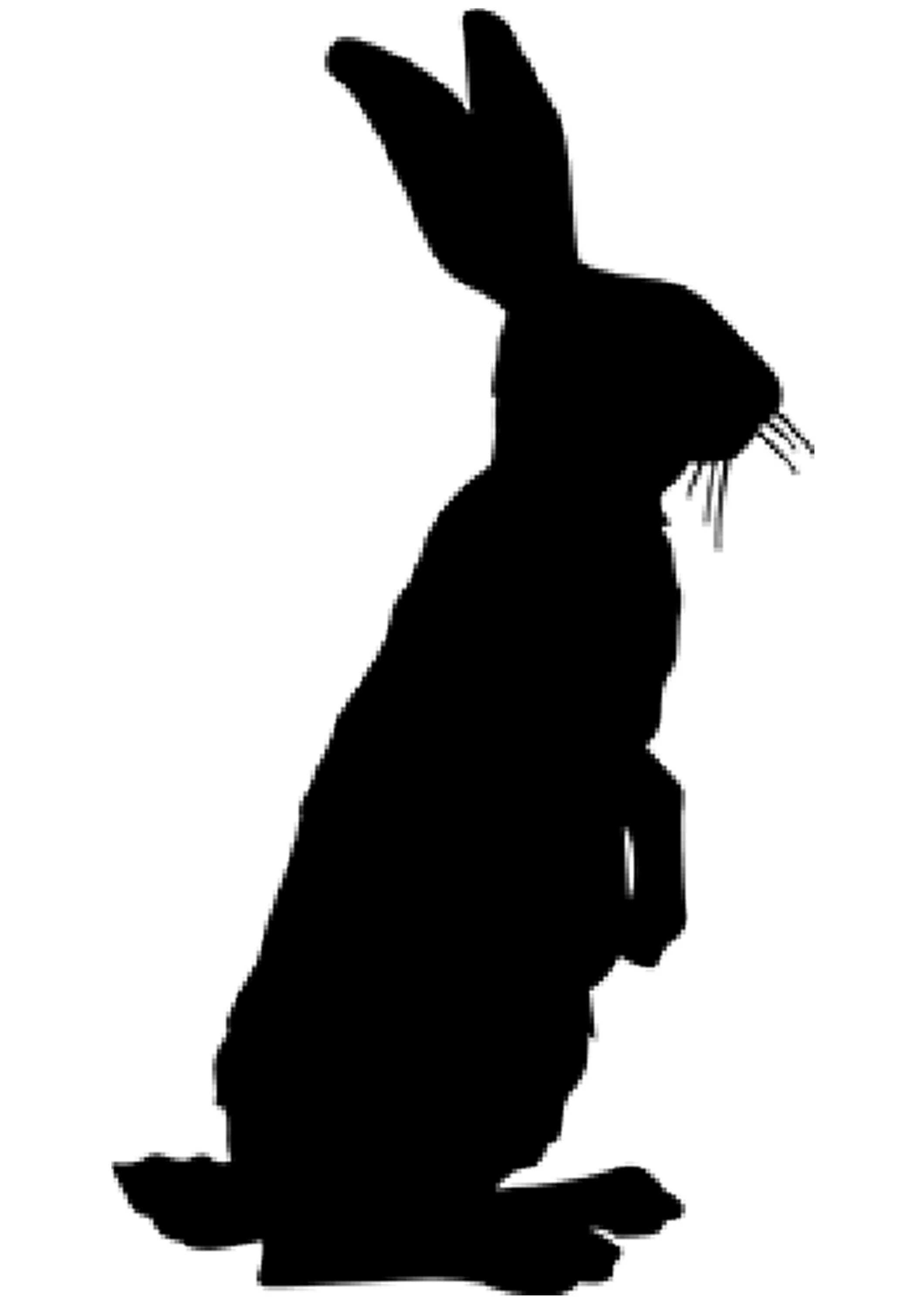 Силуэты зайцев. Заяц для теневого театра. Теневой театр лиса и заяц. Силуэт зайца. Силуэт кролика.