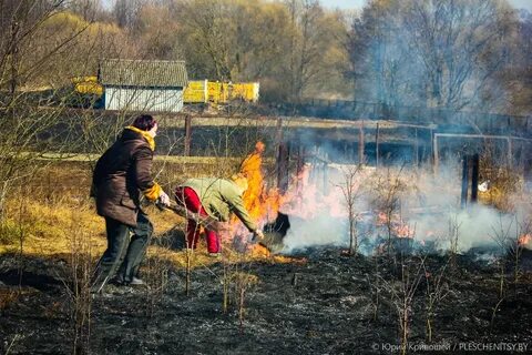 Любить русскую землю на соседнем огороде