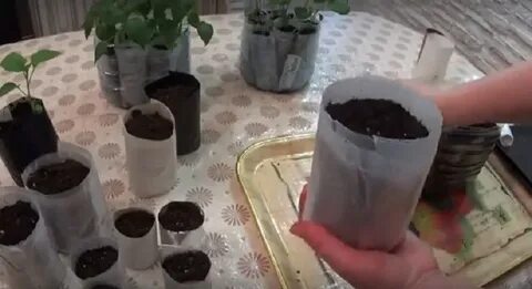 Стаканчики под рассаду