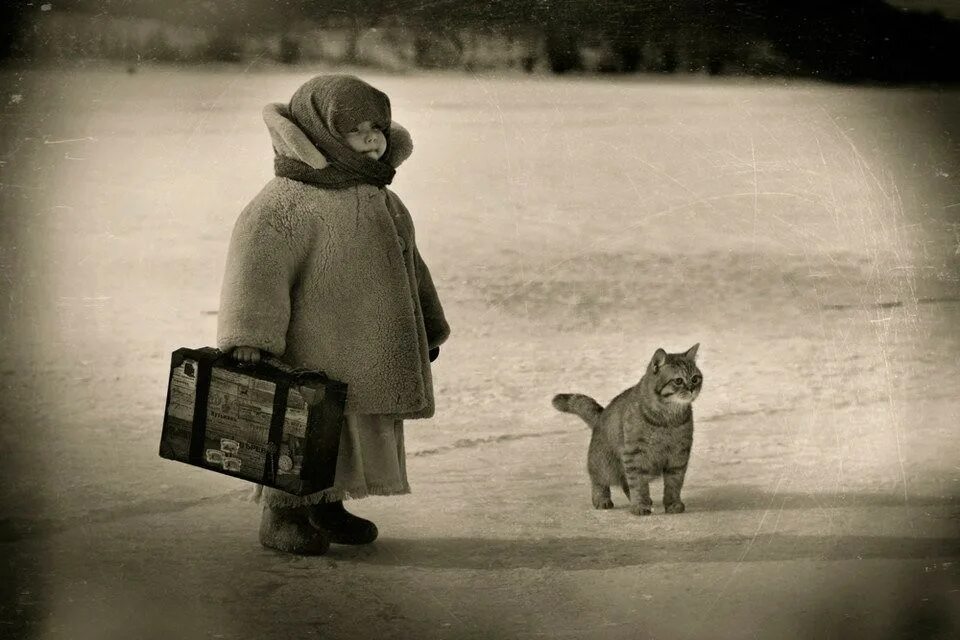 Обиженный котенок. Доброта картинки со смыслом. Уйду я в это лето. Уйду я в это лето. Август дорога.