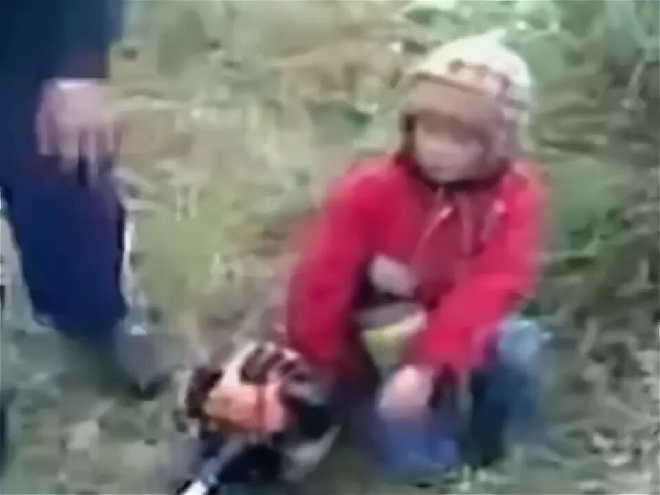 Ругается матом видео. Коты матерятся матом. Детские приколы с матом. Девочка дергающая морковку. Приколы дети матерятся.