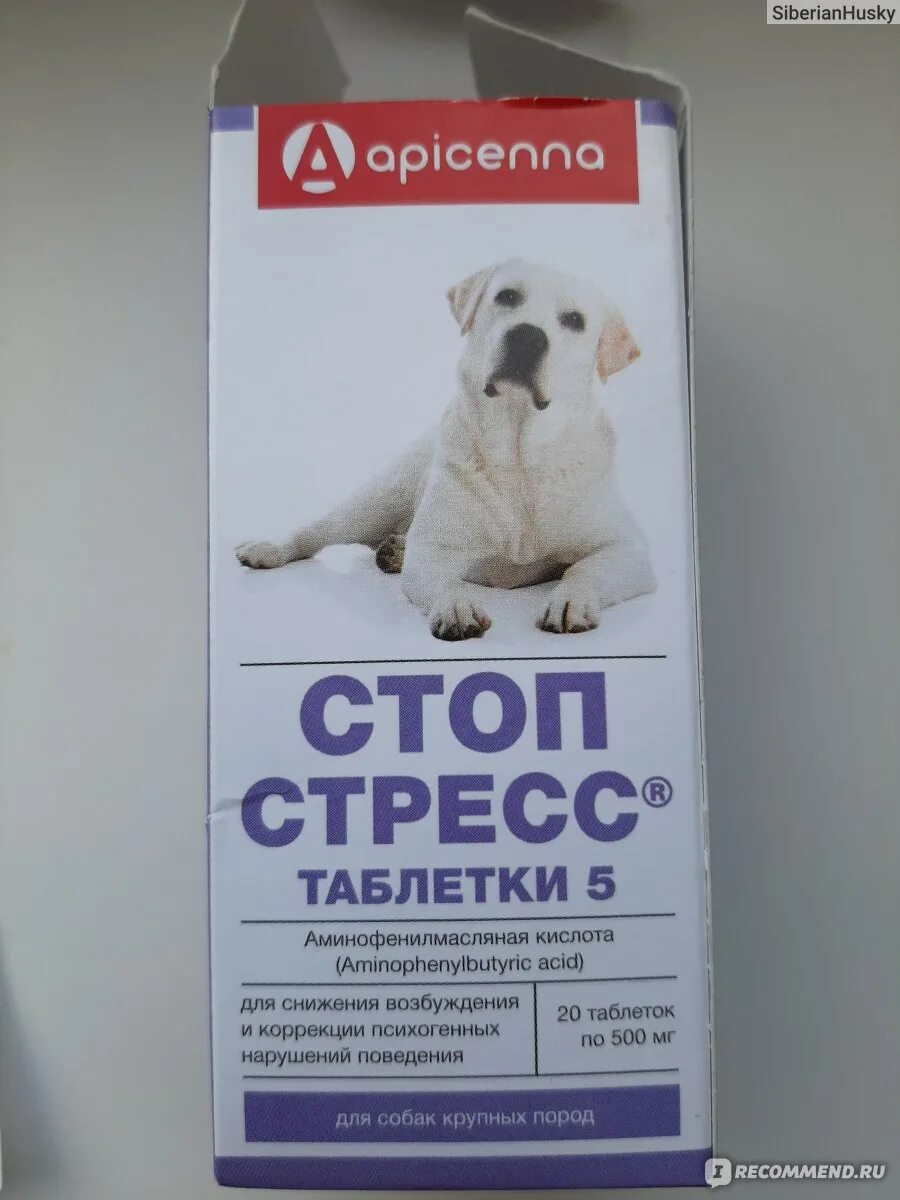 Успокоительные для собак крупных. Успокаивающие таблетки для собак кобелей. успокоительные для щенков. успокоительные таблетки для собак.
